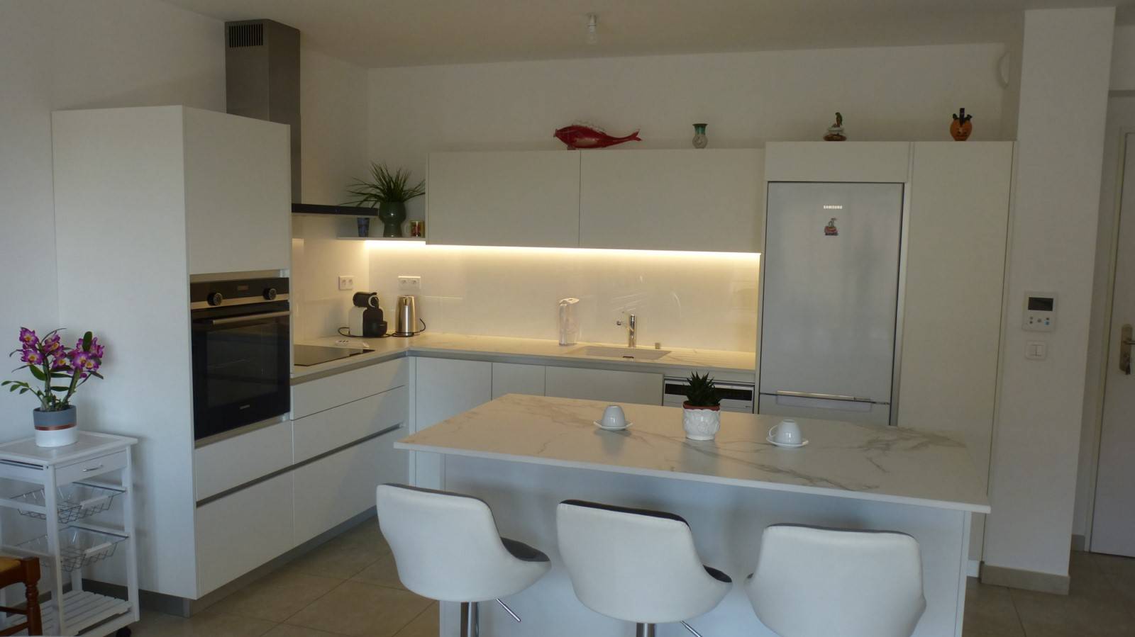 exemple de cuisine moderne en laque à  Avignon